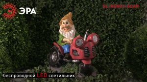 L-RSN21-GCAR || ЭРА Садовый светильник на солнечной батарее