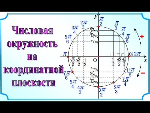 3. Единичная окружность на координатной плоскости. 10 класс