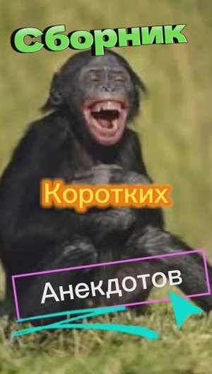 Сборник Коротких Анекдотов???