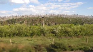 Селенга чистая река.  Selenga