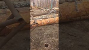 Часть вторая,самодельная телега для перевозки брёвен,оцените.....