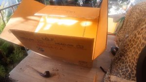 Как отправлять аквариумных рыбок в другие города