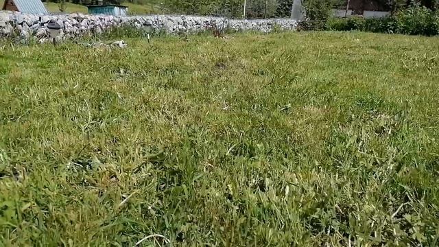 Газонокосилка STERWINS смотреть онлайн