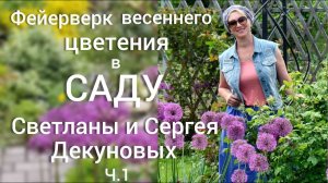 Прогулка по САДУ. Весенние ЦВЕТНИКИ в МАЕ. Схема посадок , подбор растений, уход. Влог.