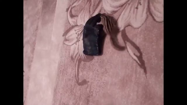 Живая перчатка смотреть онлайн