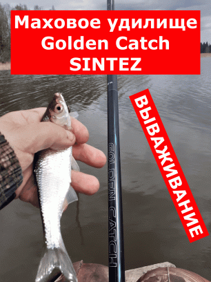 Маховое удилище Golden Catch SINTEZ pole на вываживании. Удилище маховое Голден Кетч Синтез