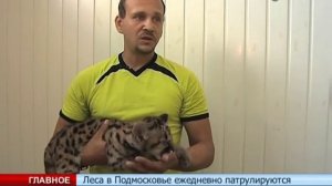 Поцелуй с пумой