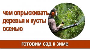 Искореняющая обработка сада / эффективные приемы против болезней и вредителей.