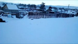 Где живет чупакабра