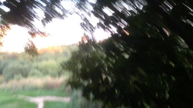 Сходненский ковш летним вечером смотреть онлайн