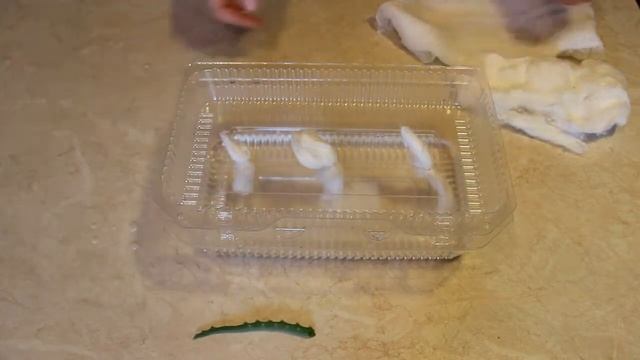 Автопоилка для семян смотреть онлайн