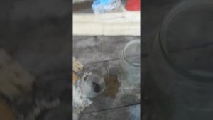 Как и чем правильно промыть воздушный фильтр на китайском триммере