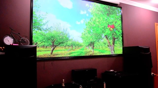 экран для проектора тест смотреть онлайн