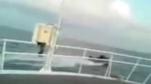 гонки украинских браконьеров и российских пограничников на азовском море