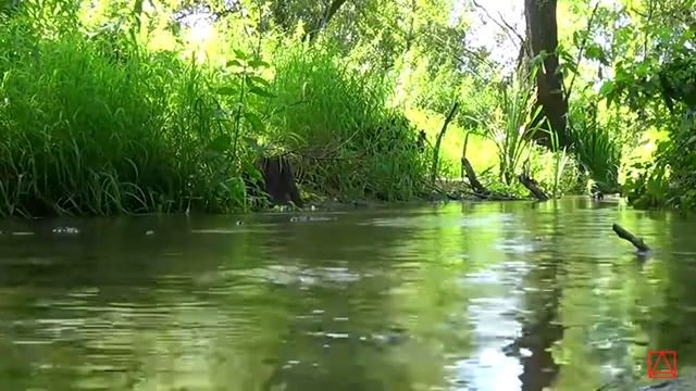 Ефрем Сирин СЛОВО ПОДВИЖНИЧЕСКОЕ часть 4 смотреть онлайн