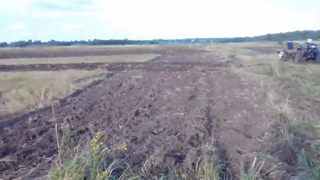 Продолжаю пахать два гектара мотоблоком!?