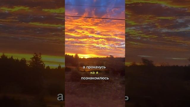 Жизненная история