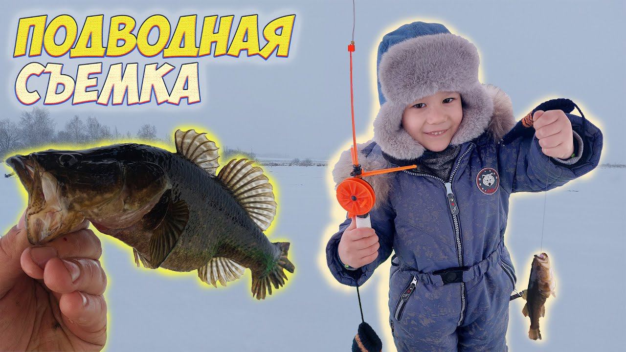 МАЛЫШ ЛОВИТ САМУЮ СТРАШНУЮ РЫБУ В СИБИРИ!ПЕРВАЯ РЫБКА В ЖИЗНИ! ЗИМНЯЯ РЫБАЛКА НА РОТАНА. смотреть онлайн