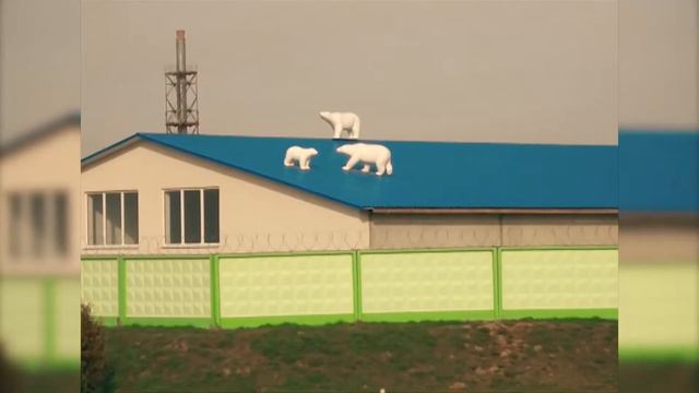 СОЛИГОРСК ВИДЕОРОЛИК
