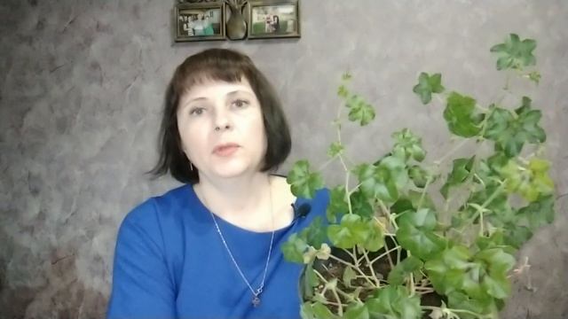 Ампельные цветы для подвесных кашпо. Цветы для вазонов. Цветы из семян своими руками.