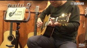 Yamaha LL 26 ARE, LL 36 ARE, LL 56 Custom ARE  야마하기타 비교영상 / Sound Comparison