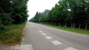 HONDA CB 600F HORNET PC36 | Sound/Acceleration