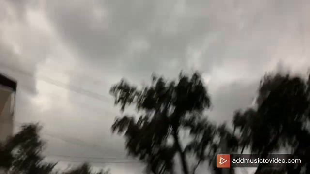 Первое видео! Vlog едем в город Волгоград❤️ смотреть онлайн