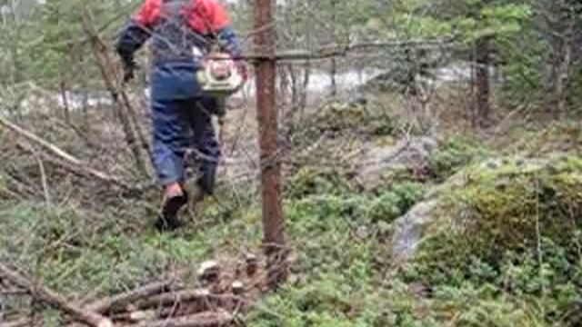 TheEssky смотреть онлайн