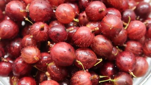 Очень вкусный компот из крыжовника с абрикосами и мятой на зиму. Рецепт компота из крыжовника