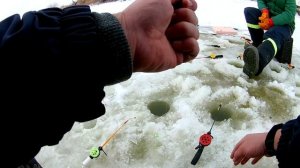 ХОРОШИЙ КЛЕВ карася на Первый Лед. Первый раз на зимней рыбалке. Ноябрь 2020.