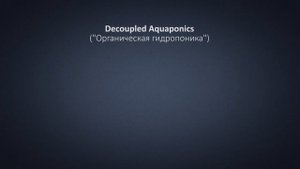 Лекция 3. Аквапоника и ее виды. Coupled Aquaponics и Decoupled Aquaponics. Poultryponics.