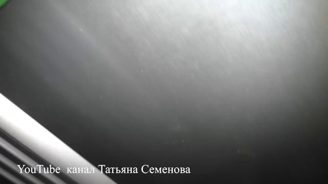 Освещение, досветка растений. Мой бюджетный вариант. смотреть онлайн