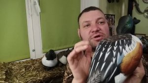 обзор чучел Широконоски и Шилохвости