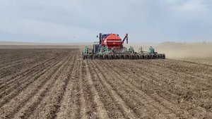 Сплошной посев подсолнечника сеялкой Кузбасс 9.7, 2022