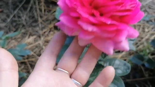 Дежавю или не может быть))) смотреть онлайн