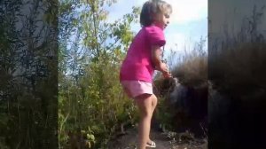 Мишка косолапый