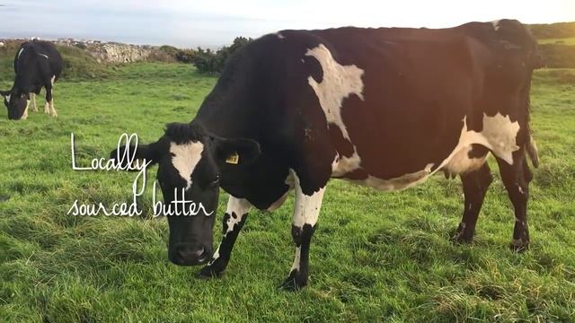 Meet The Supplier – Aldi Specially Selected Exquisite Christmas Puddings смотреть онлайн