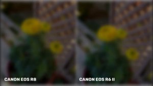 Canon EOS R8 VS Canon EOS R6 Mark II | Night Mode Camera Test
