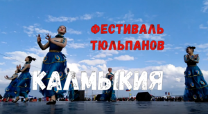 Калмыкия. Фестиваль тюльпанов