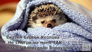 Сказки С.Козлова. Не смотри на меня ТАК