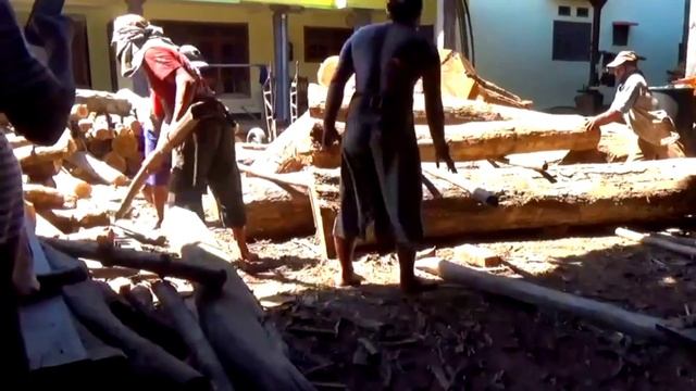 paling dicari !! kayu termahal kualitas terbaik seratnya mirip burung hantu ada yang seharga 350jt смотреть онлайн