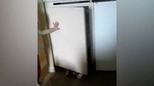 Приколы с дверьми