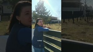 Уклон на участке? На что обратить внимание? Зачем нужен дренаж и ливневка? Дом с Умом. Доброград.