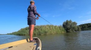 ВОДА КИПИТ, А В КОРЯГАХ РЫБЫ ВАЛОМ! Рыбалка в Астрахани с. Бакланье. Рыбалка на спиннинг.