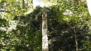 СОЧИ 2020! Полезные и бесполезные экскурсии!!!