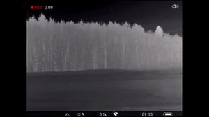 Волки выходят на вабу. Wolf howling.