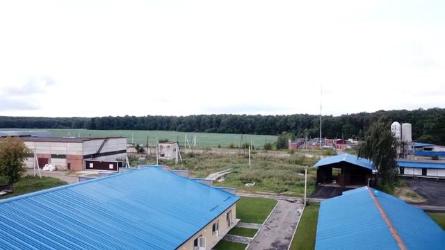 Раменский,Боршево