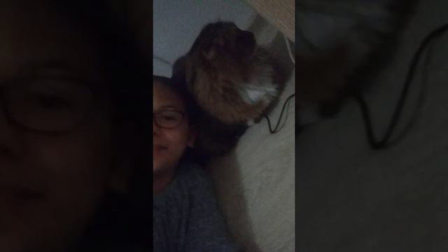 4чассть подения я тороплюсь и мама зовёт смотреть онлайн