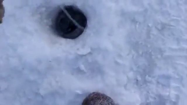 Подледная рыбалка. Якутия.
