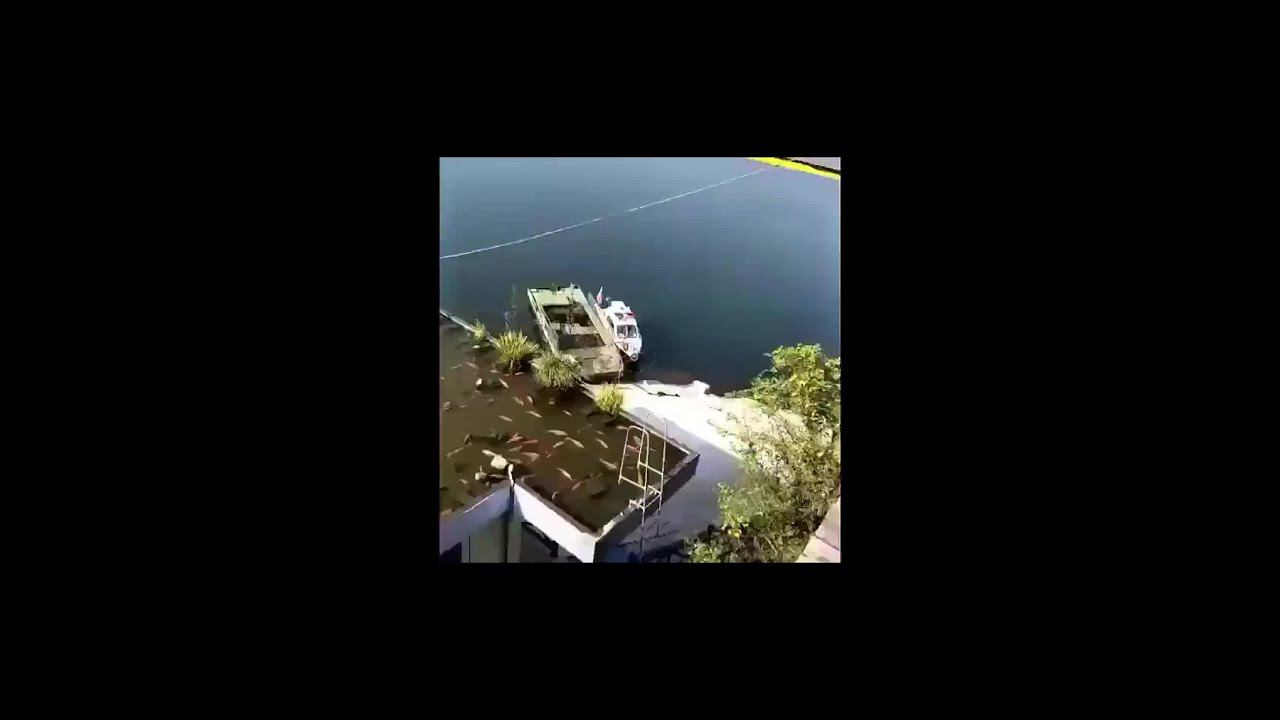 Рыба на крыше! Как ???